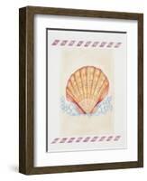 Shell Cardita-Deborah Kopka-Framed Giclee Print