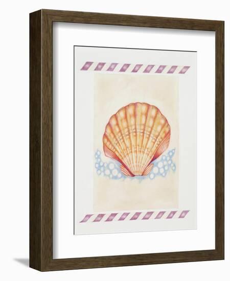 Shell Cardita-Deborah Kopka-Framed Giclee Print