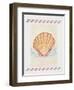 Shell Cardita-Deborah Kopka-Framed Giclee Print