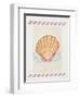 Shell Cardita-Deborah Kopka-Framed Giclee Print