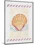 Shell Cardita-Deborah Kopka-Mounted Giclee Print