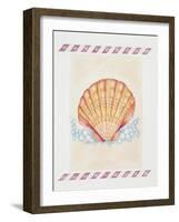 Shell Cardita-Deborah Kopka-Framed Giclee Print