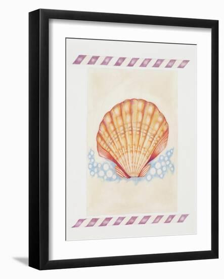 Shell Cardita-Deborah Kopka-Framed Giclee Print