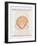 Shell Cardita-Deborah Kopka-Framed Giclee Print