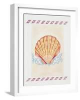 Shell Cardita-Deborah Kopka-Framed Giclee Print