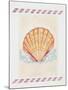 Shell Cardita-Deborah Kopka-Mounted Giclee Print