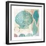 Shell Collage I-Dan Meneely-Framed Premium Giclee Print