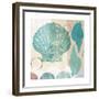 Shell Collage I-Dan Meneely-Framed Premium Giclee Print