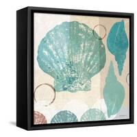 Shell Collage I-Dan Meneely-Framed Stretched Canvas