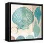 Shell Collage I-Dan Meneely-Framed Stretched Canvas