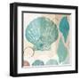 Shell Collage I-Dan Meneely-Framed Art Print