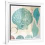 Shell Collage I-Dan Meneely-Framed Art Print