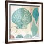 Shell Collage I-Dan Meneely-Framed Art Print