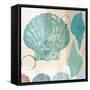 Shell Collage I-Dan Meneely-Framed Stretched Canvas