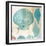 Shell Collage I-Dan Meneely-Framed Art Print