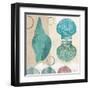 Shell Collage II-Dan Meneely-Framed Art Print