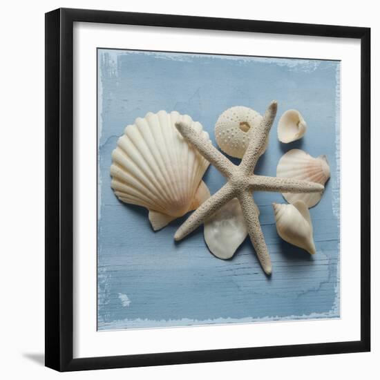 Shell Collection I-Bill Philip-Framed Giclee Print