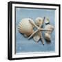 Shell Collection I-Bill Philip-Framed Giclee Print