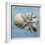 Shell Collection I-Bill Philip-Framed Giclee Print