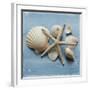 Shell Collection I-Bill Philip-Framed Giclee Print