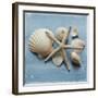 Shell Collection I-Bill Philip-Framed Giclee Print