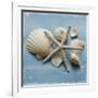 Shell Collection I-Bill Philip-Framed Giclee Print