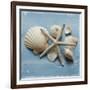 Shell Collection I-Bill Philip-Framed Giclee Print