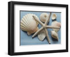 Shell Collection I-Bill Philip-Framed Giclee Print