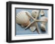 Shell Collection I-Bill Philip-Framed Giclee Print