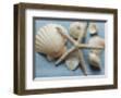 Shell Collection I-Bill Philip-Framed Giclee Print