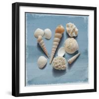 Shell Collection II-Bill Philip-Framed Giclee Print