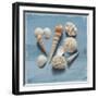 Shell Collection II-Bill Philip-Framed Giclee Print