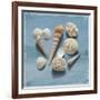 Shell Collection II-Bill Philip-Framed Giclee Print