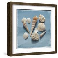 Shell Collection II-Bill Philip-Framed Giclee Print