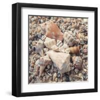 Shell Collection II-Kathy Mansfield-Framed Art Print