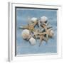 Shell Collection III-Bill Philip-Framed Giclee Print