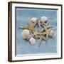 Shell Collection III-Bill Philip-Framed Giclee Print