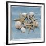 Shell Collection III-Bill Philip-Framed Giclee Print