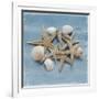 Shell Collection III-Bill Philip-Framed Giclee Print