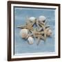 Shell Collection III-Bill Philip-Framed Giclee Print