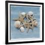 Shell Collection III-Bill Philip-Framed Giclee Print