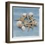 Shell Collection III-Bill Philip-Framed Giclee Print