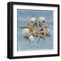 Shell Collection III-Bill Philip-Framed Giclee Print