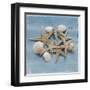 Shell Collection III-Bill Philip-Framed Giclee Print