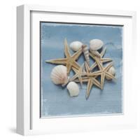 Shell Collection III-Bill Philip-Framed Giclee Print