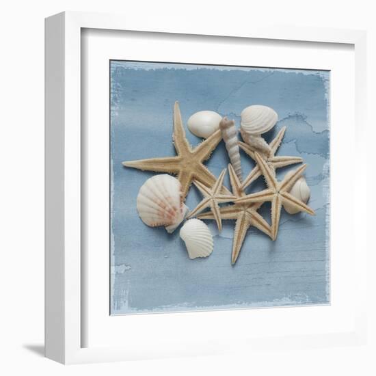 Shell Collection III-Bill Philip-Framed Giclee Print