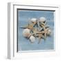 Shell Collection III-Bill Philip-Framed Giclee Print