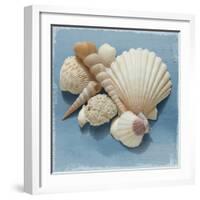 Shell Collection IV-Bill Philip-Framed Giclee Print