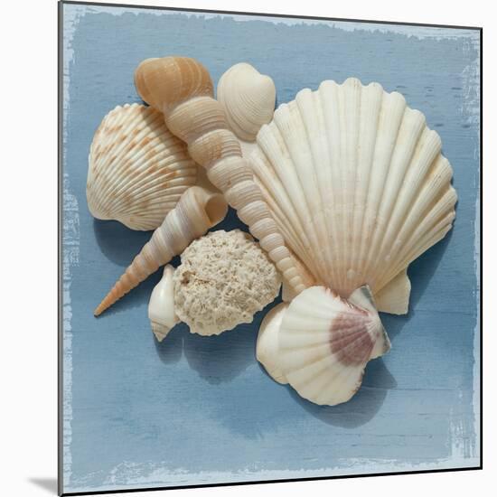 Shell Collection IV-Bill Philip-Mounted Giclee Print