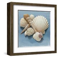 Shell Collection IV-Bill Philip-Framed Art Print